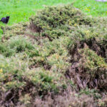 11.4.2016 Kielce. Dworzec PKS w Kielcach i jego otoczenie / Wojciech Habdas / Radio Kielce