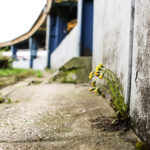 11.4.2016 Kielce. Dworzec PKS w Kielcach i jego otoczenie / Wojciech Habdas / Radio Kielce