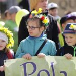 21.04.2016 „Marszem żonkili” rozpoczęła się w województwie świętokrzyskim społeczna kampania „Pola Nadziei”. / Wojciech Habdas / Radio Kielce