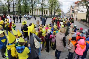 21.04.2016 „Marszem żonkili” rozpoczęła się w województwie świętokrzyskim społeczna kampania „Pola Nadziei”. / Wojciech Habdas / Radio Kielce