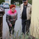 26.04.2016. Nasadzenia na osiedlu Na Stoku w Kielcach / Wojciech Habdas / Radio Kielce