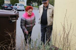 26.04.2016. Nasadzenia na osiedlu Na Stoku w Kielcach / Wojciech Habdas / Radio Kielce