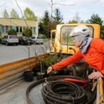 26.04.2016. Nasadzenia na osiedlu Na Stoku w Kielcach / Wojciech Habdas / Radio Kielce