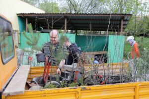 26.04.2016. Nasadzenia na osiedlu Na Stoku w Kielcach / Wojciech Habdas / Radio Kielce