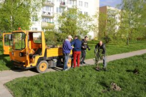 26.04.2016. Nasadzenia na osiedlu Na Stoku w Kielcach / Wojciech Habdas / Radio Kielce