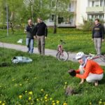 26.04.2016. Nasadzenia na osiedlu Na Stoku w Kielcach / Wojciech Habdas / Radio Kielce