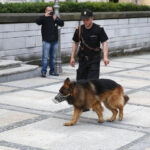 Piotr Michalski / Radio Kielce