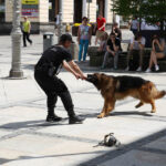 Piotr Michalski / Radio Kielce