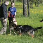 07.05.2016 Rajd "Psim tropem po Kielcach" / Jarosław Kubalski / Radio Kielce