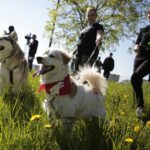 07.05.2016 Rajd "Psim tropem po Kielcach" / Jarosław Kubalski / Radio Kielce