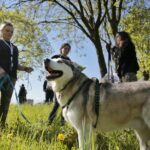 07.05.2016 Rajd "Psim tropem po Kielcach" / Jarosław Kubalski / Radio Kielce