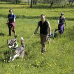 07.05.2016 Rajd "Psim tropem po Kielcach" / Jarosław Kubalski / Radio Kielce