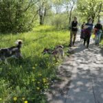 07.05.2016 Rajd "Psim tropem po Kielcach" / Jarosław Kubalski / Radio Kielce