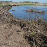 10.05.2016 Zanieczyszczona rzeka Nida w powiecie pińczowskim / Paweł Klepka / Radio Kielce