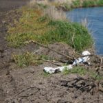 10.05.2016 Zanieczyszczona rzeka Nida w powiecie pińczowskim / Paweł Klepka / Radio Kielce