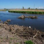 10.05.2016 Zanieczyszczona rzeka Nida w powiecie pińczowskim / Paweł Klepka / Radio Kielce