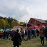 01.05.2016 Święto Wiśni Nadwiślanki w gminie Ożarów / Teresa Czajkowska / Radio Kielce