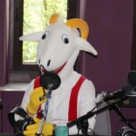 29.05.2016 Bohaterowie z ECB w Radiu Kielce / Karol Żak / Radio Kielce