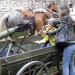 03.05.2016 Kielce. Uroczystości ustanowienia Konstytucji 3 Maja. Piknik w parku. / Jarosław Kubalski / Radio Kielce