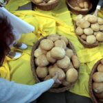 26.05.2016 Kielce. Procesja Bożego Ciała. / Jarosław Kubalski / Radio Kielce