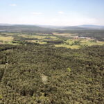 24.05.2016 Centrum Przygotowań do Misji Zagranicznych zorganizowało międzynarodowy kurs obserwatorów misji pokojowych ONZ. / Wojsko Polskie