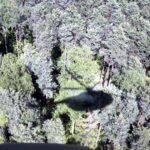 24.05.2016 Centrum Przygotowań do Misji Zagranicznych zorganizowało międzynarodowy kurs obserwatorów misji pokojowych ONZ. / Wojsko Polskie