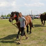 29.05.2016 Ożarów. 7. Młodzieżowy Czempionat Koni Rasy Zimnokrwistej. Ocenianie klaczy / Wojciech Habdas / Radio Kielce