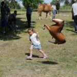 29.05.2016 Ożarów. 7. Młodzieżowy Czempionat Koni Rasy Zimnokrwistej. Ocenianie klaczy / Wojciech Habdas / Radio Kielce