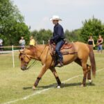 29.05.2016 Ożarów. 7. Młodzieżowy Czempionat Koni Rasy Zimnokrwistej. Prezentacja i nagradzanie klaczy 2-letnich / Wojciech Habdas / Radio Kielce
