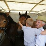 29.05.2016 Ożarów. 7. Młodzieżowy Czempionat Koni Rasy Zimnokrwistej. Prezentacja i nagradzanie klaczy 2-letnich / Wojciech Habdas / Radio Kielce