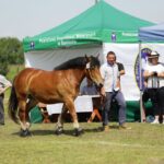 29.05.2016 Ożarów. 7. Młodzieżowy Czempionat Koni Rasy Zimnokrwistej. Prezentacja i nagradzanie klaczy 2-letnich / Wojciech Habdas / Radio Kielce