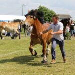 29.05.2016 Ożarów. 7. Młodzieżowy Czempionat Koni Rasy Zimnokrwistej. Prezentacja i nagradzanie klaczy 2-letnich / Wojciech Habdas / Radio Kielce