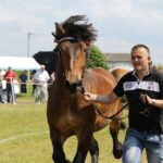 29.05.2016 Ożarów. 7. Młodzieżowy Czempionat Koni Rasy Zimnokrwistej. Prezentacja i nagradzanie klaczy 2-letnich / Wojciech Habdas / Radio Kielce