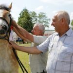 29.05.2016 Ożarów. 7. Młodzieżowy Czempionat Koni Rasy Zimnokrwistej. Prezentacja i nagradzanie klaczy 2-letnich / Wojciech Habdas / Radio Kielce