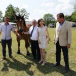 29.05.2016 Ożarów. 7. Młodzieżowy Czempionat Koni Rasy Zimnokrwistej. Prezentacja i nagradzanie klaczy 2-letnich / Wojciech Habdas / Radio Kielce