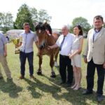 29.05.2016 Ożarów. 7. Młodzieżowy Czempionat Koni Rasy Zimnokrwistej. Prezentacja i nagradzanie klaczy 2-letnich / Wojciech Habdas / Radio Kielce