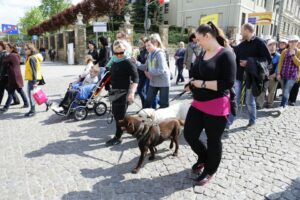 06.05.2016. Ulicami Kielc przeszedł marsz, będący częścią obchodów Dnia Godności Osób z Niepełnosprawnością / Wojciech Habdas / Radio Kielce