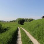 11.05.2016. Mieszkańcy Nowego Korczyna protestują przeciwko jednemu z wariantów budowy obwodnicy / Wojciech Habdas / Radio Kielce