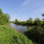 11.05.2016. Mieszkańcy Nowego Korczyna protestują przeciwko jednemu z wariantów budowy obwodnicy / Wojciech Habdas / Radio Kielce