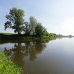 11.05.2016. Mieszkańcy Nowego Korczyna protestują przeciwko jednemu z wariantów budowy obwodnicy / Wojciech Habdas / Radio Kielce