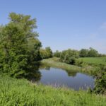 11.05.2016. Mieszkańcy Nowego Korczyna protestują przeciwko jednemu z wariantów budowy obwodnicy / Wojciech Habdas / Radio Kielce