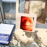 13.5.2016 Kielce. Dzień Otwarty Funduszy Europejskich w Kieleckim Parku Technologicznym. Mini Targi Biznesowe z udziałem Lokatorów KPT / Wojciech Habdas / Radio Kielce