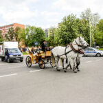 19.5.2016 Kielce. Juwenalia w pełni, studenci przeszli w barwnym korowodzie ulicami Kielc. / Wojciech Habdas / Radio Kielce