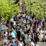 19.5.2016 Kielce. Juwenalia w pełni, studenci przeszli w barwnym korowodzie ulicami Kielc. / Wojciech Habdas / Radio Kielce