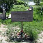 30.5.2016 Kielce. Teren, na którym prawdopodobnie dochodziło do potajemnego grzebania osób zamordowanych w więzieniu przy ulicy Zamkowej oglądał dzisiaj pełnomocnik prezesa IPN, prof. Krzysztof Szwagrzyk. / Wojciech Habdas / Radio Kielce