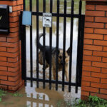 31.5.2016 Starachowice. Nad miastem przeszła ulewa. Strażacy wypompowywali wodę z zalanych piwnic i posesji. / Wojciech Habdas / Radio Kielce