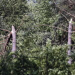 Tokarnia. Zniszczenia po nawałnicy (17 czerwca 2016) / Jarosław Kubalski / Radio Kielce