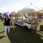 Święto Truskawki w Bielinach (5 czerwca 2016 r) / Jarosław Kubalski / Radio Kielce