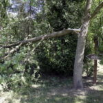 Tokarnia. Zniszczenia po nawałnicy (17 czerwca 2016) / Jarosław Kubalski / Radio Kielce