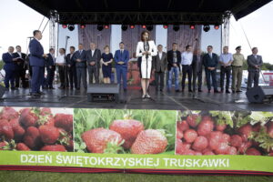 Święto Truskawki w Bielinach (5 czerwca 2016 r) / Jarosław Kubalski / Radio Kielce